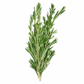 Rosemary Oil Extract (ROE)